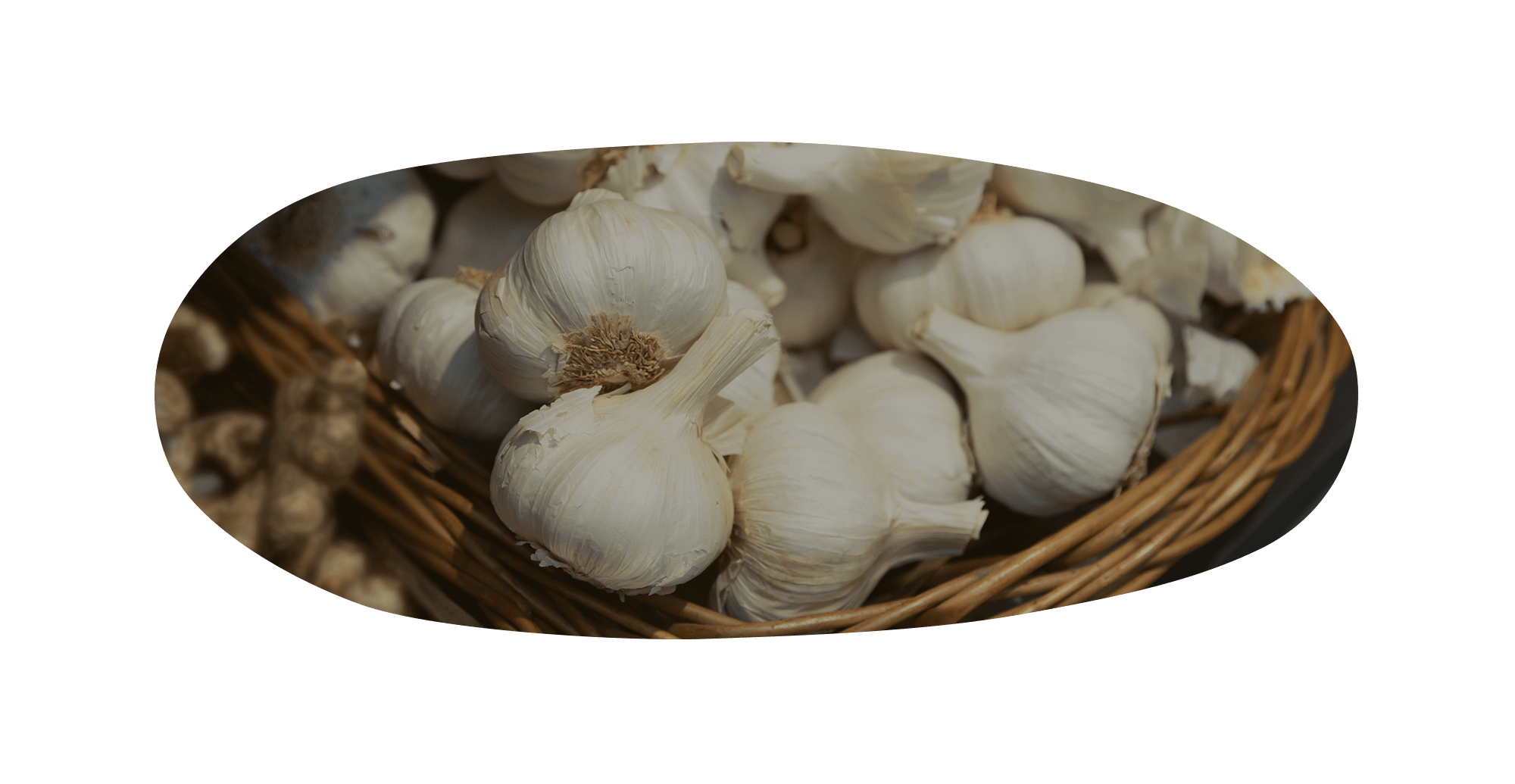 青森県上北郡の恵みをいっぱい受けた 美味しい野菜を、みんなのもとへ