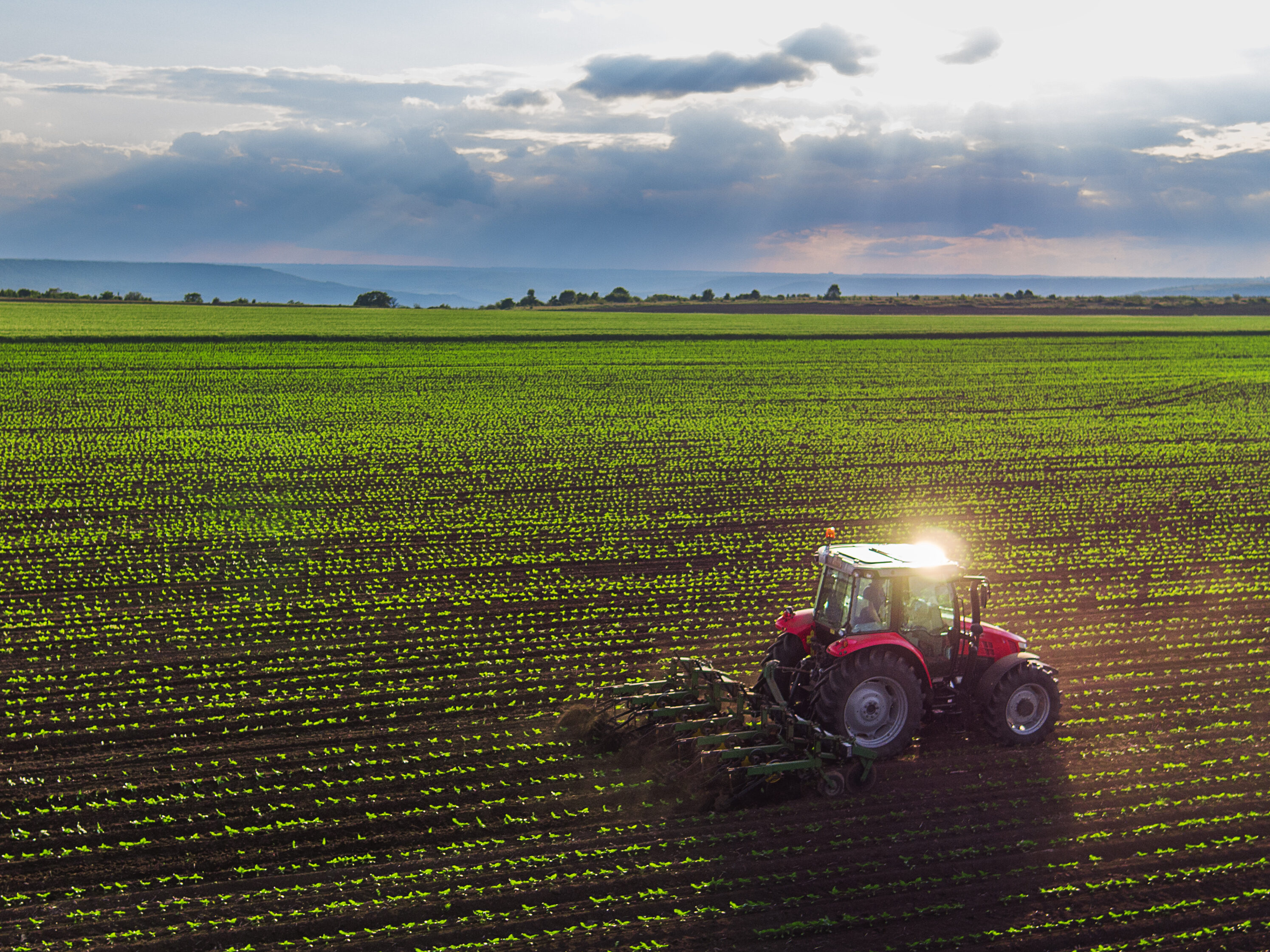 Tractor cultivating field at spring